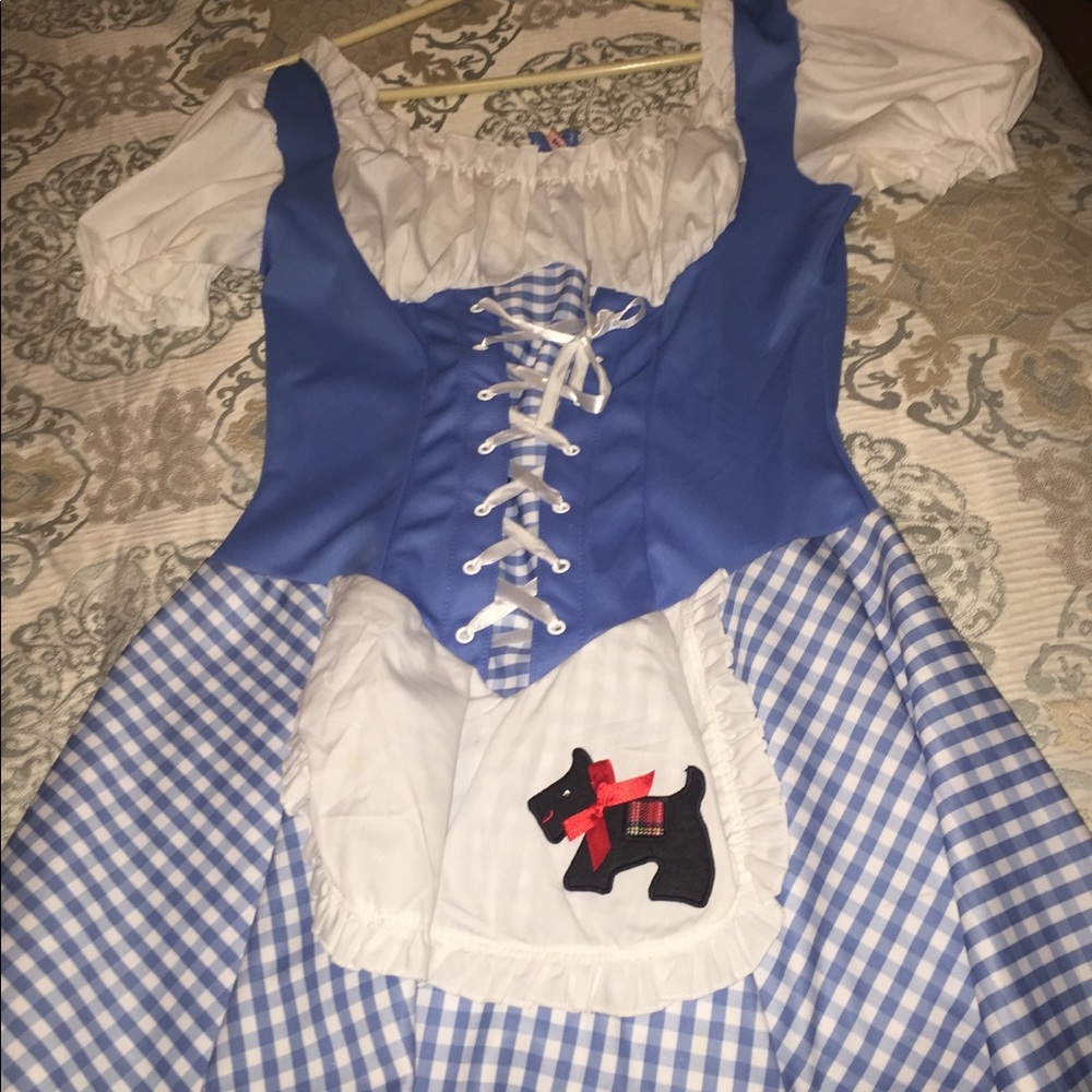 Dorothy halloween costume